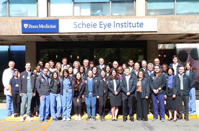 Scheie staff
